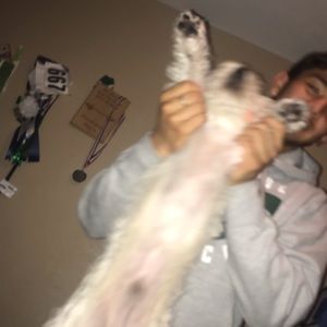 Meet your Posher, Ashley